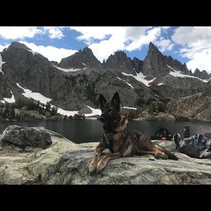 Meet your Posher, Zachary